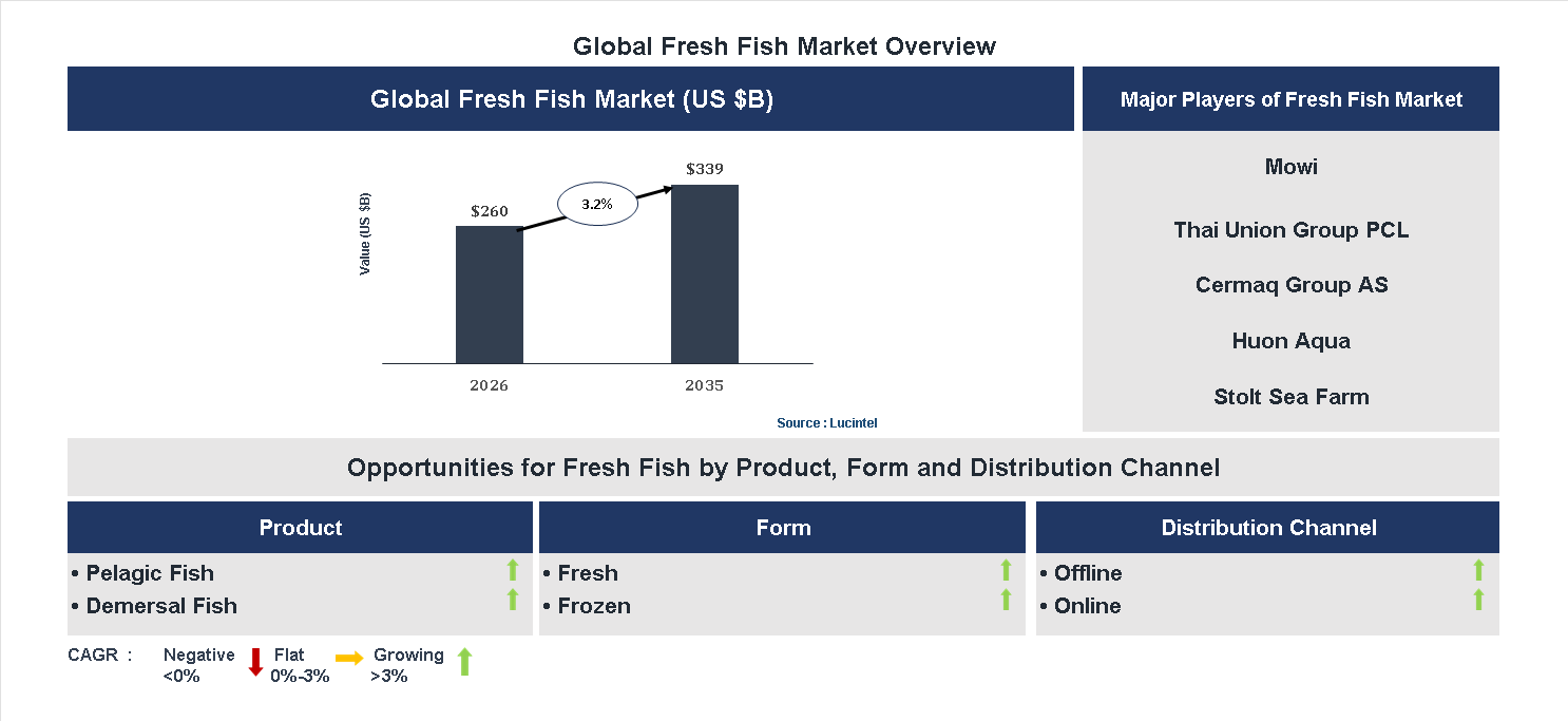 Fresh Fish Market Trends and Forecast Fresh Fish Market Trends and Forecast